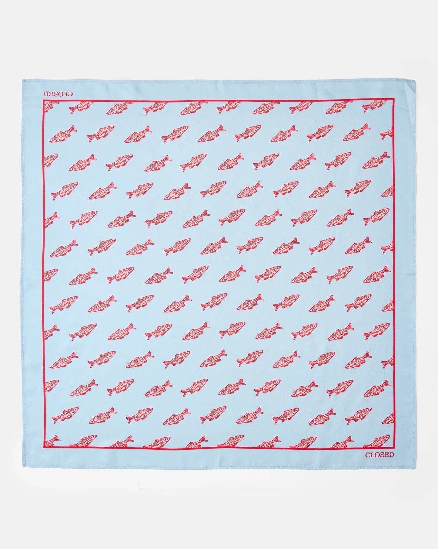 Closed Woman Scarf Blue