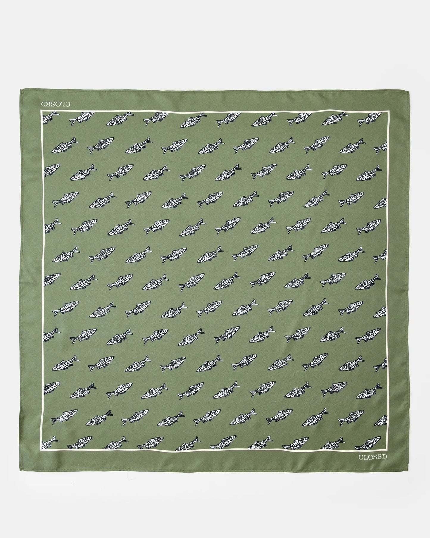 Closed Woman Scarf Green